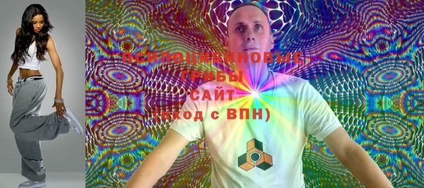 шишки Бородино