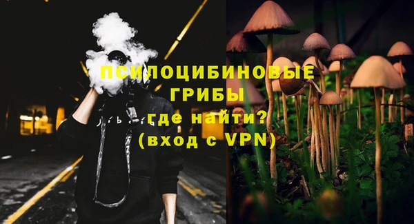 дурь Кинешма
