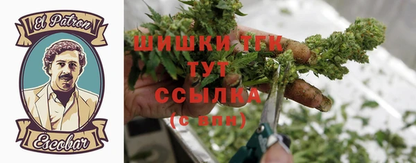 спиды Касимов
